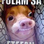 Peter Herbert - Facebook