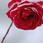 Peter Herrick - Facebook
