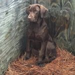 Peter Herring - @pete_herring - Instagram