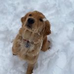 Peter Hester - @peterlhester - Instagram