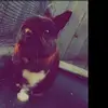fly_high_peter - @fly_high_peter - TikTok