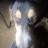 Peter Hildebrandt - @peterhild42 - TikTok