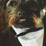 Peter Hildreth - @hildreth.peter - Instagram