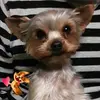 Peter Hirt - @peter.hirt - TikTok