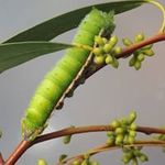 Peter Hocking - @hocking.peter - Instagram