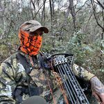 Peter Hockings - @peterhockings - Instagram