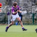 Peter Hogan - @peter_h0825 - Instagram