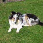 Peter Hogan - @kas_cit - Instagram