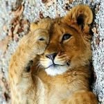 Peter Höglund - @peterwilldoit - Instagram