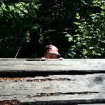 Peter Höglund - @peppehoglund - Instagram