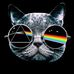Peter Hohn - Facebook