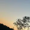 peterholbrook7 - @peter.holbrook - TikTok