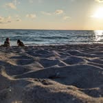 Peter Holmstrom - @mrpeterh - Instagram