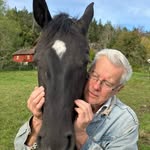 Peter Holmström - @peterholmstrommolndalse - Instagram