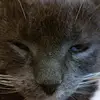 Peter Horan - @peter.horan47 - TikTok