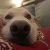 peterhoran - @peterhoran101105 - TikTok