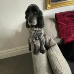 Peter Horne - @peteyhorne - Instagram