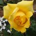 Peter Horne - Facebook