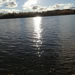 Peter Horrigan - @welshfinn2021 - Instagram
