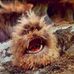 Peter Houle - Facebook