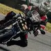 Peter Howe - @peter.howe15 - TikTok
