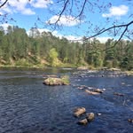 Peter Hoyt - @peter_hoyt - Instagram