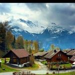 Peter Hubert - @peter.hubert.549 - Instagram