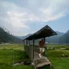 Peter Huerta - @pedrohuerta91 - TikTok