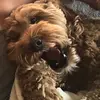 Peter Hughes - @petervhughes - TikTok