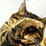 Peter - @peter_huisman - Instagram