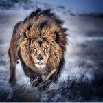 Peter Hulsebos - @peter.hulsebos - Instagram