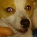 peterhulse - @peterhulse.90 - Instagram