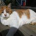 Peter Hurd - Facebook