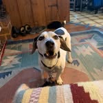Peter hurdman - @peterhurdman - Instagram