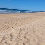Peter Hurley - @peterhurley213 - Instagram