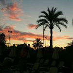 Peter Hurt - @peter.hurt.549 - Instagram