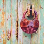 Peter Hussey - @gpeterhussey - Instagram