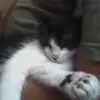 peterhuss425 - @peterhuss425 - TikTok