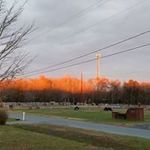 Peter Hutt - @peter.hutt - Instagram