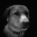 Peter Hutter - Facebook