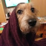 Peter Ilsley - @peter_ilsley - Instagram