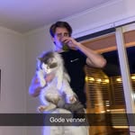 PETER INGEBRIGTSEN - @peter.ingebrigtsen - Instagram