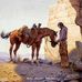 Peter Ireland - Facebook