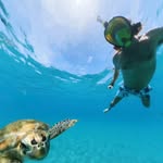 peter ireland - @peter.ireland71 - Instagram