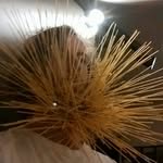Peter Ireland - @things_in_my_beard - Instagram