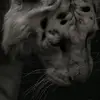 peter jack - @peterjack67 - TikTok