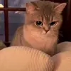 Peter Jack - @peter.jack63 - TikTok