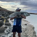 Peter Jackson - @peterjackson2652 - Instagram