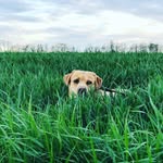 Peter  Jäger - @peter.jaeger - Instagram