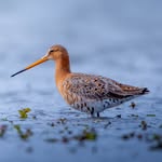 Peter Jansen - @de.fotoraaf - Instagram